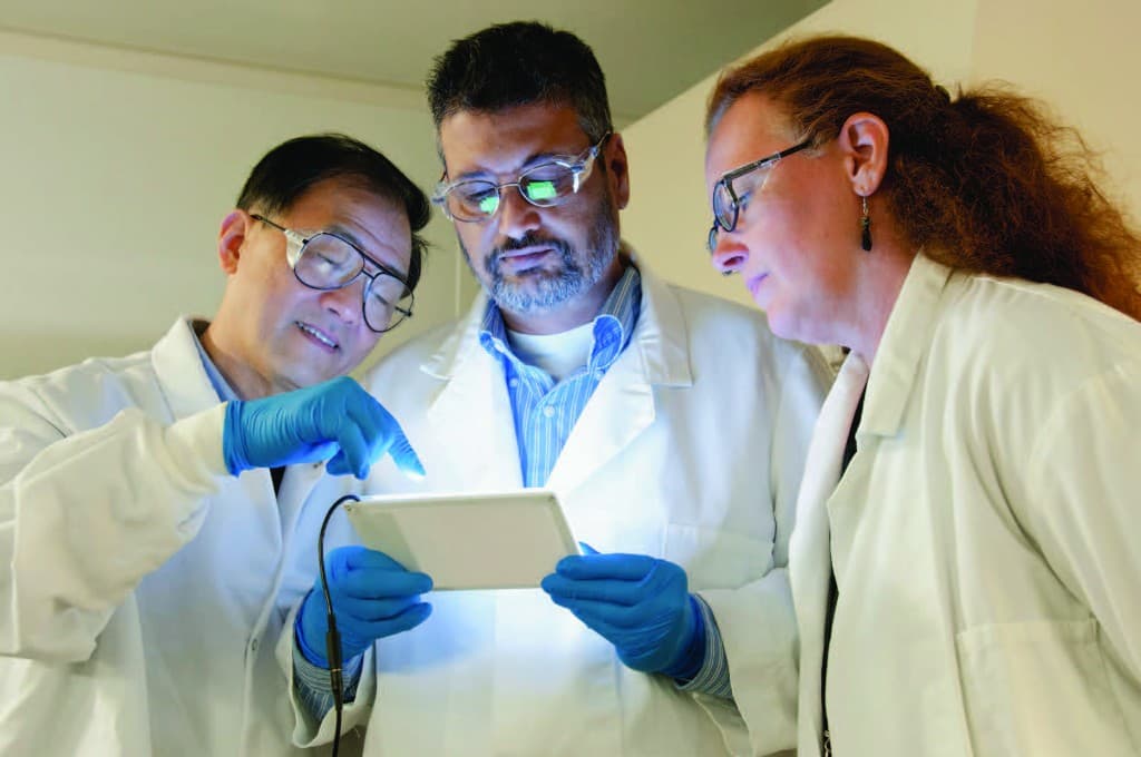 Program managers reviewing data together in a lab setting